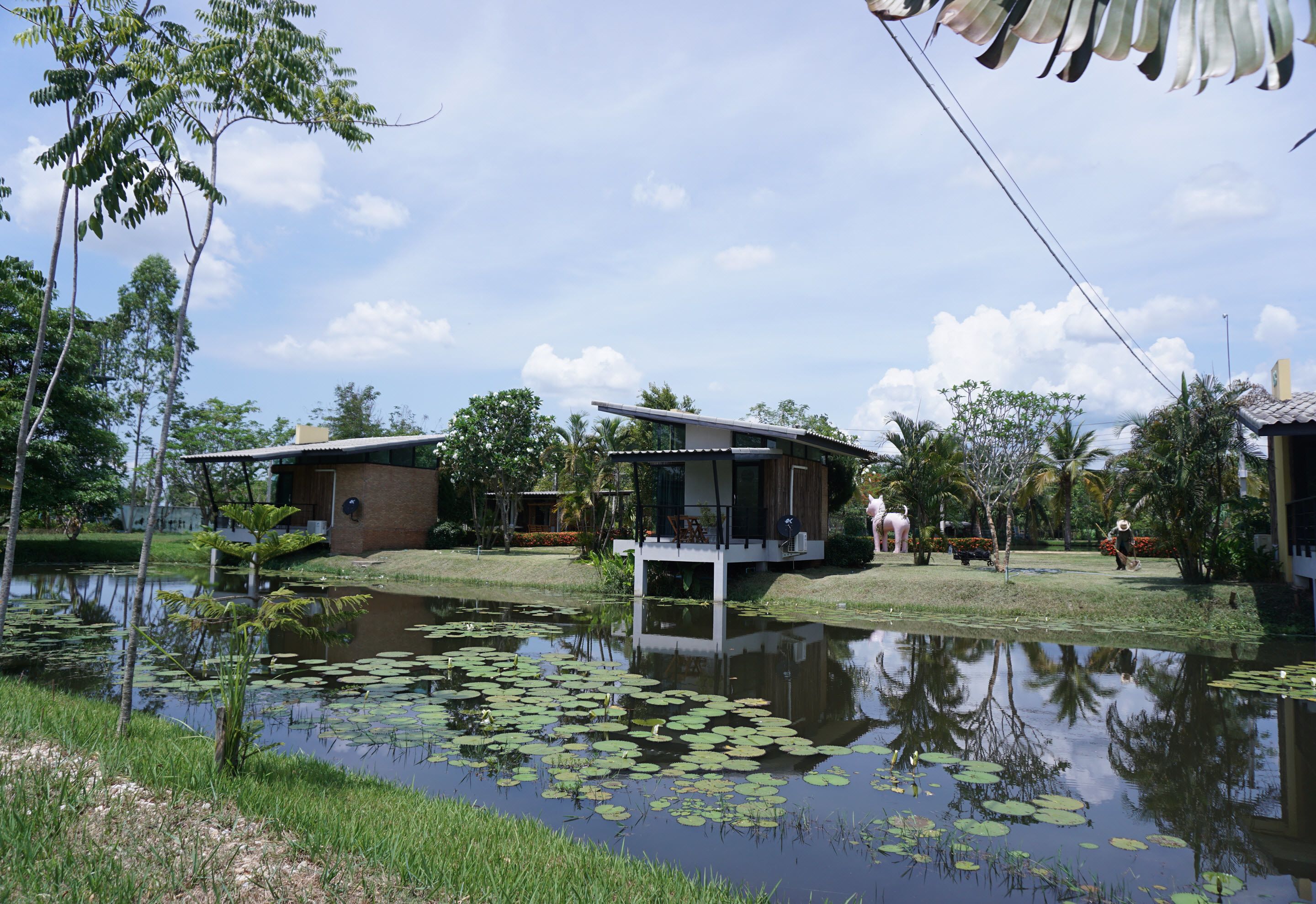 A modern house with a deck over a pond, surrounded by tropical vegetation and palm trees.