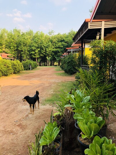 Kanyaphat Gardenview Resort