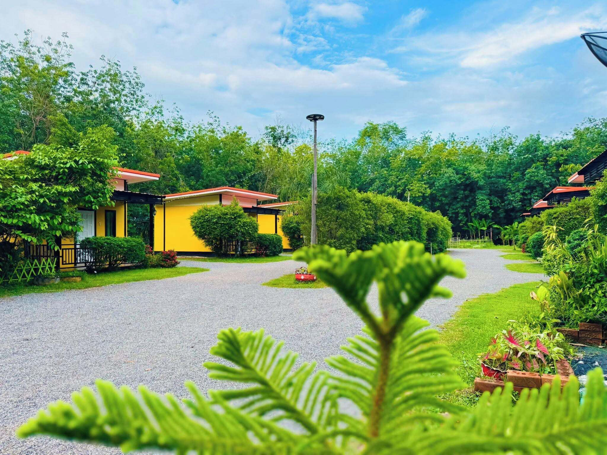 A residential area with yellow houses, a gravel driveway, and lush greenery.
