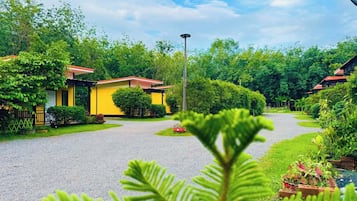 A residential area with yellow houses, a gravel driveway, and lush greenery.