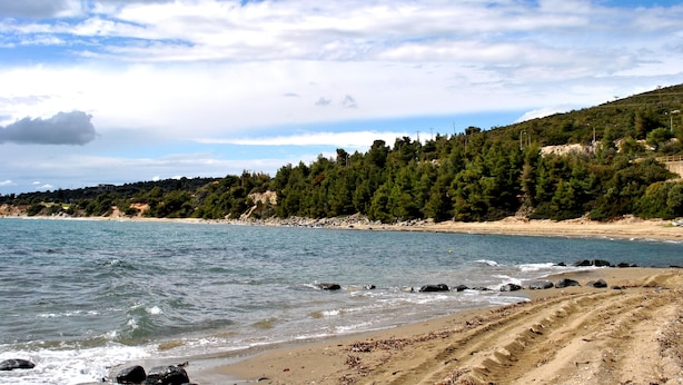 A beach with clear skies, calm waters, and a forested hillside.