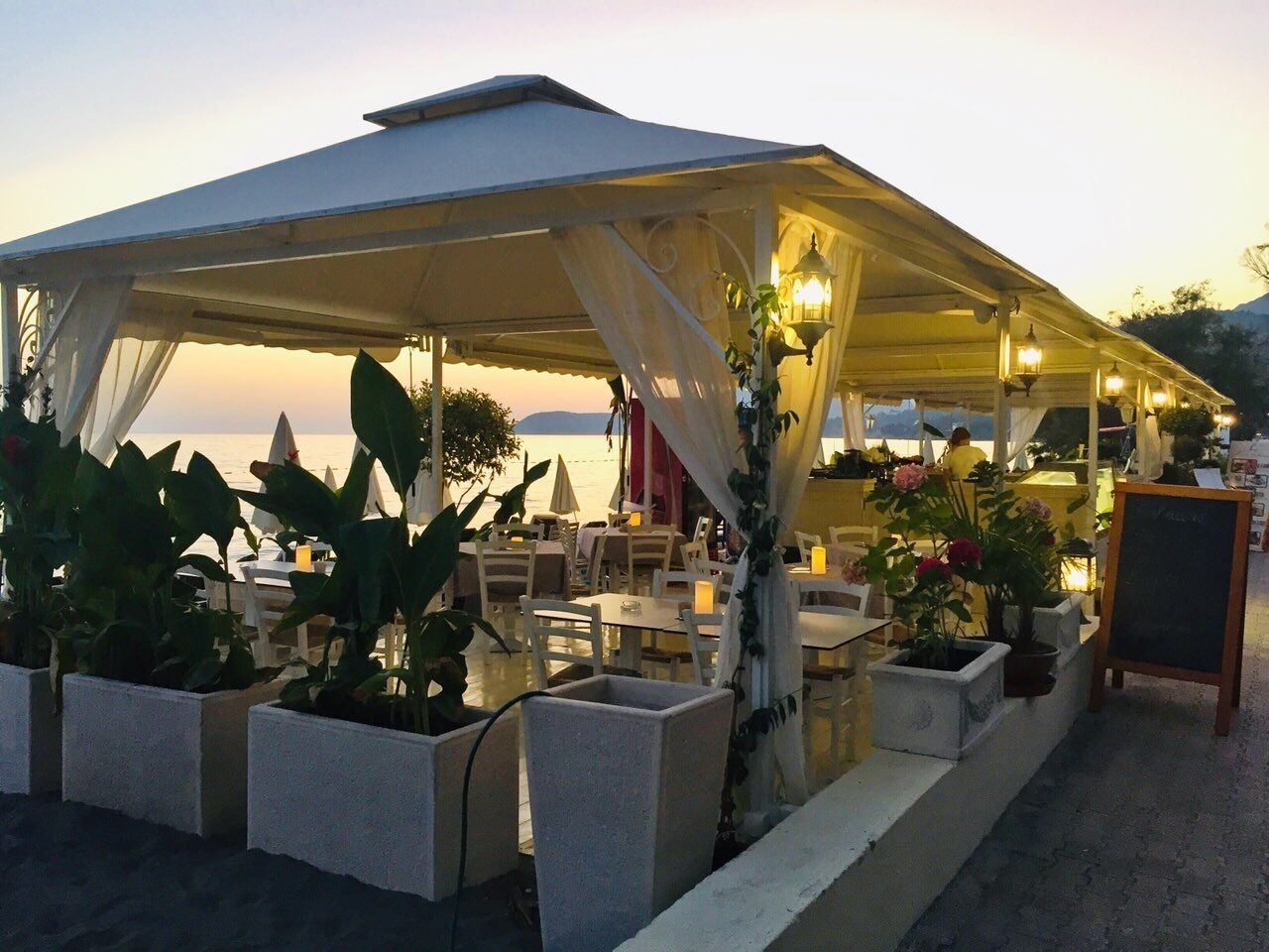 An outdoor dining area with tables and chairs under a tent, surrounded by potted plants.