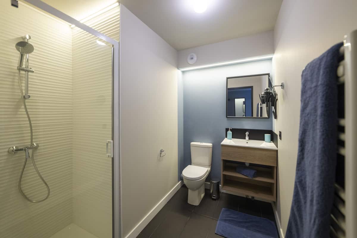 shower, free toiletries, hair dryer, towels