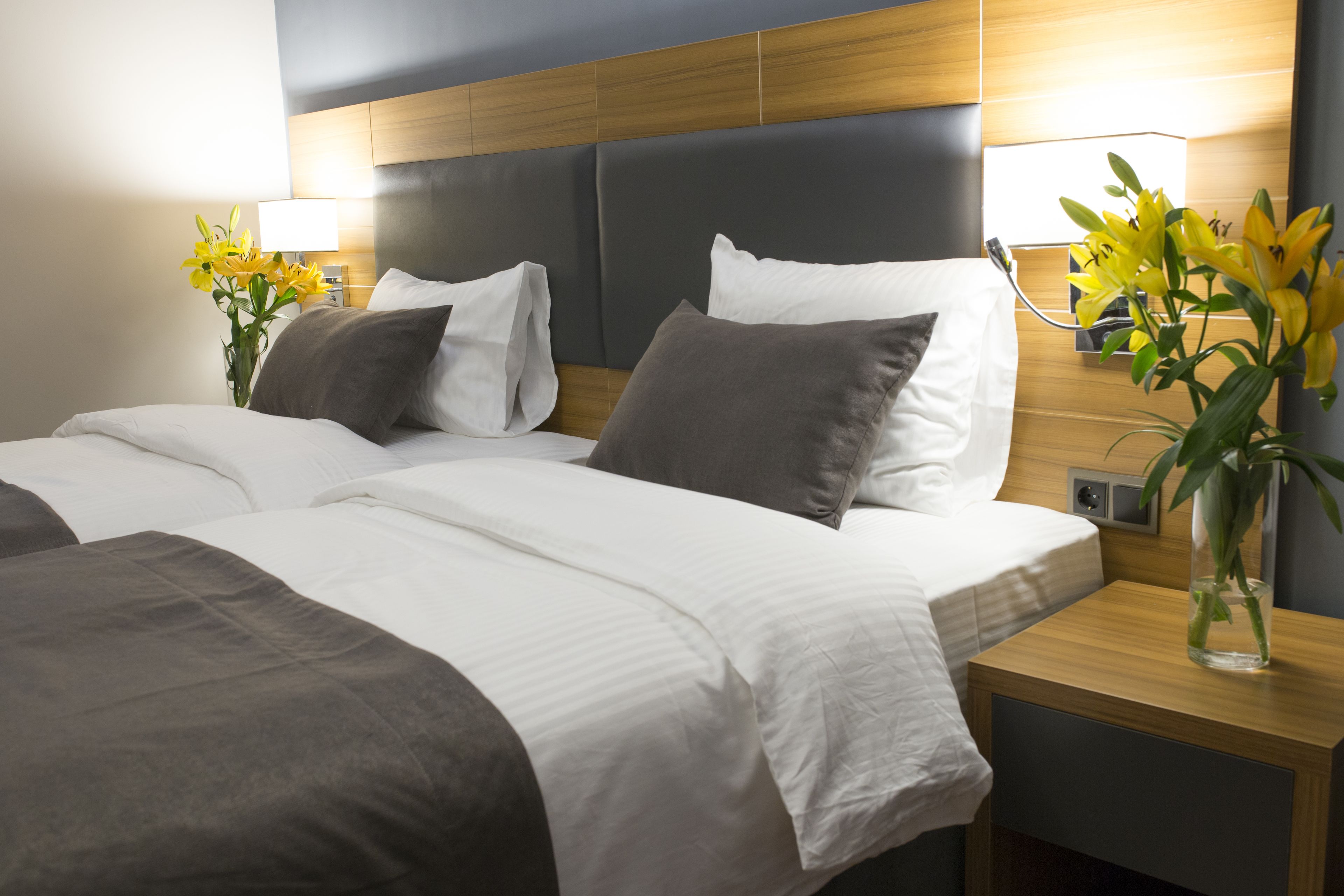 Minibar, coffres-forts dans les chambres, bureau, Wi-Fi gratuit