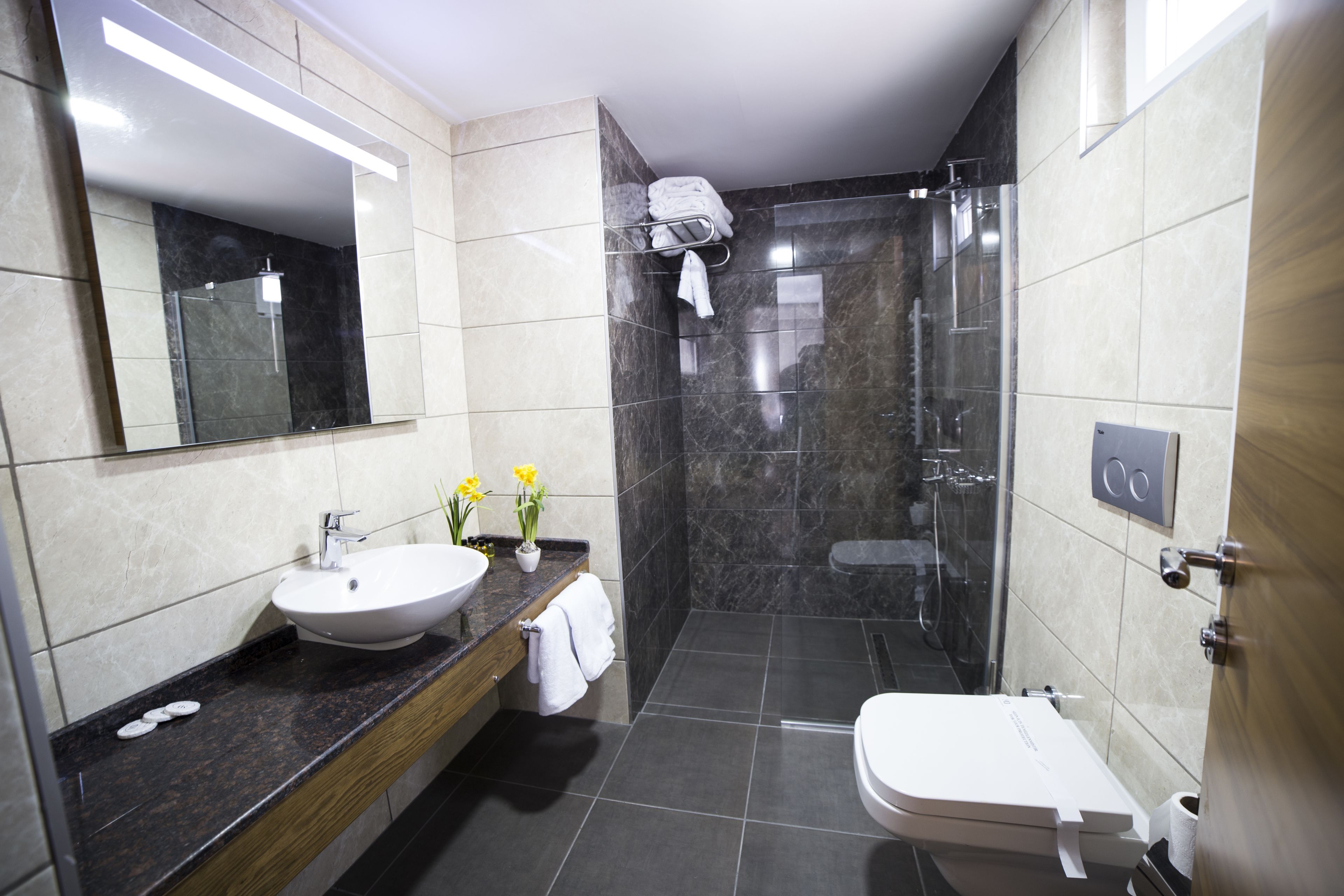 minibar, in-room safe, desk, free wifi