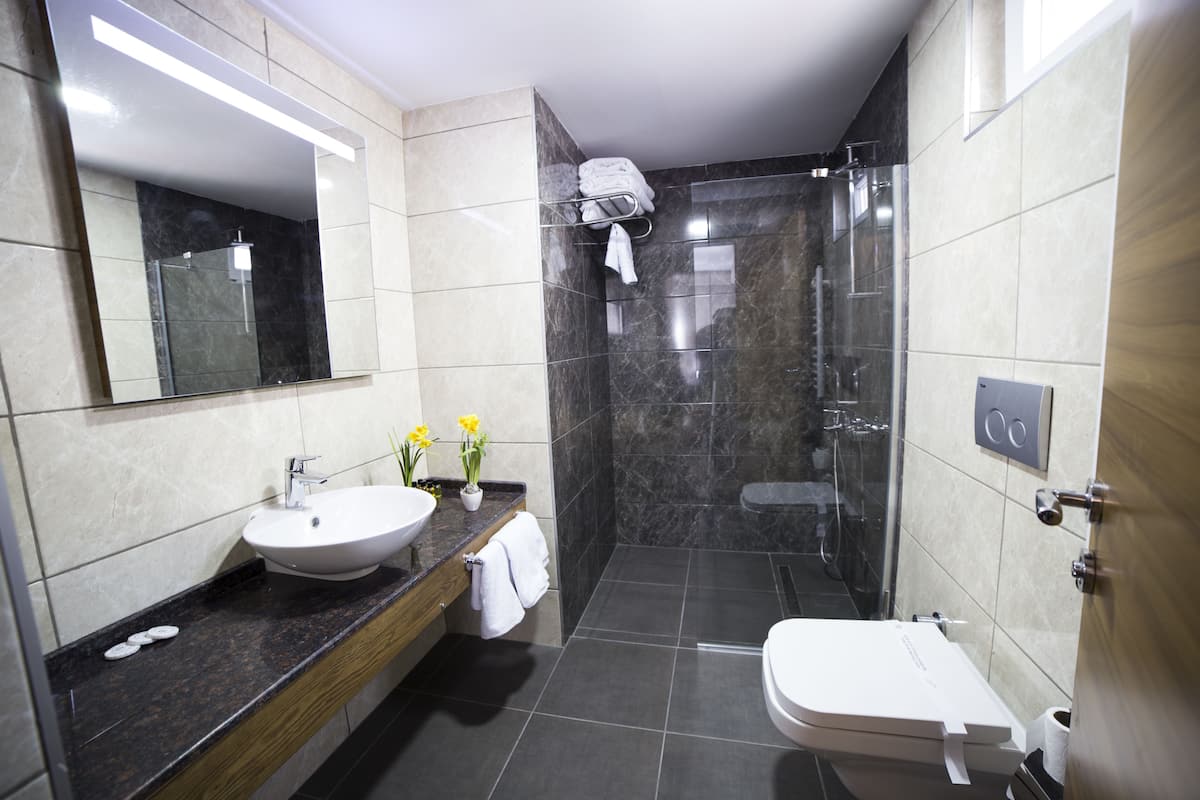 minibar, in-room safe, desk, free wifi