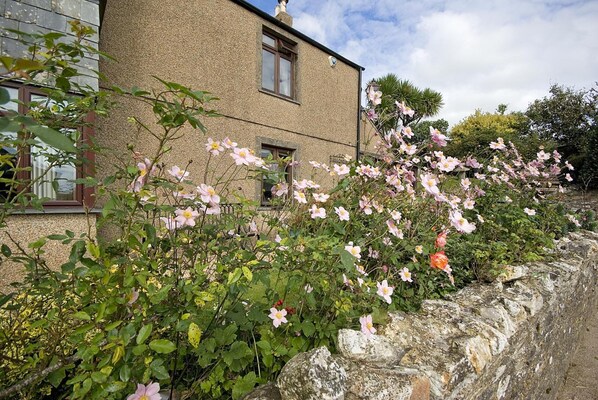 Exterior - Tregondale Manor Farm (Liskeard)