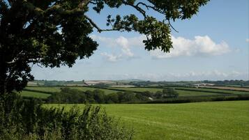 A rural landscape with rolling green fields, a tree in the foreground, and a clear sky.