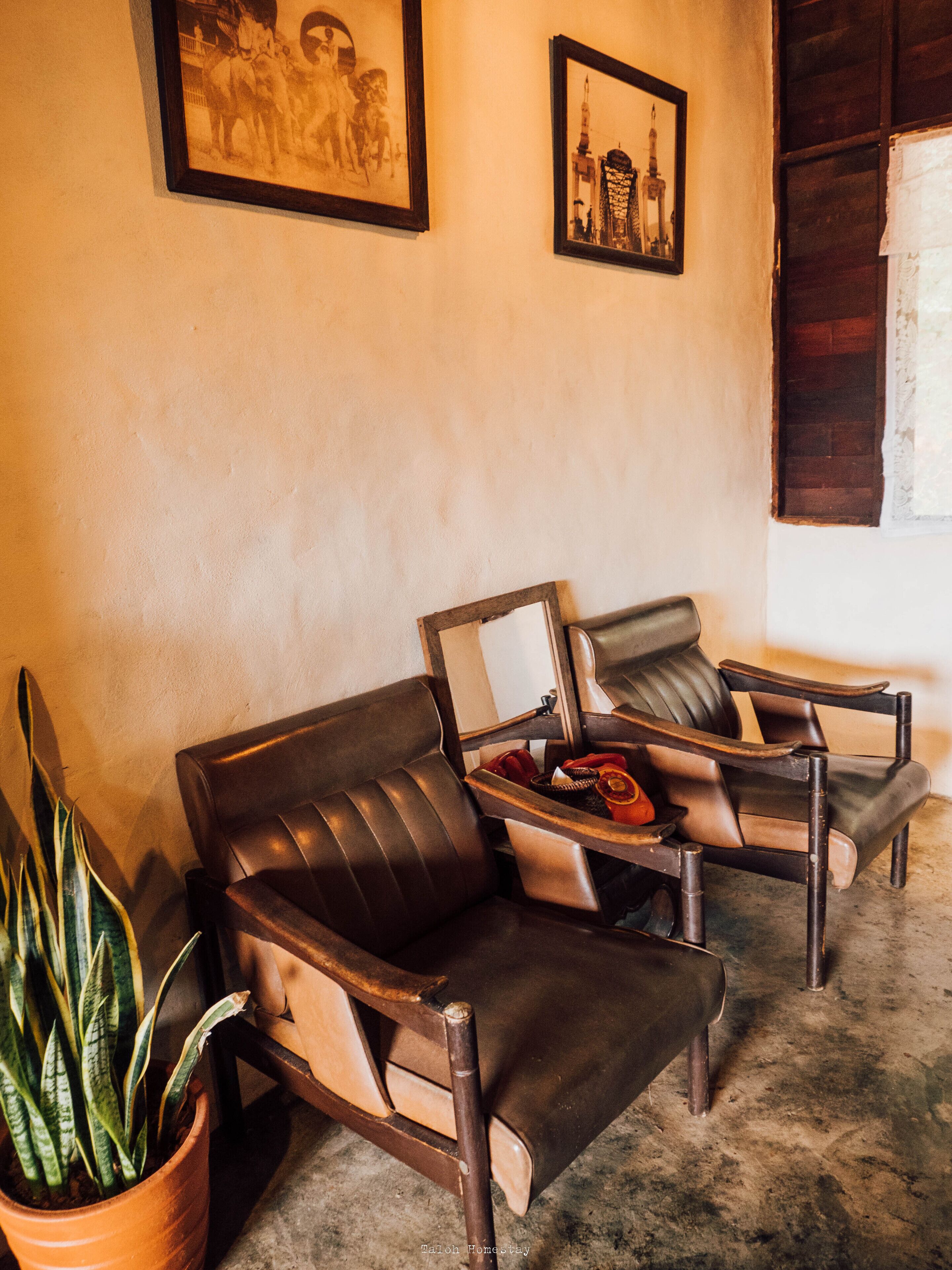 Family Room, Non Smoking, Hill View | Hypo-allergenic bedding, down comforters, free WiFi
