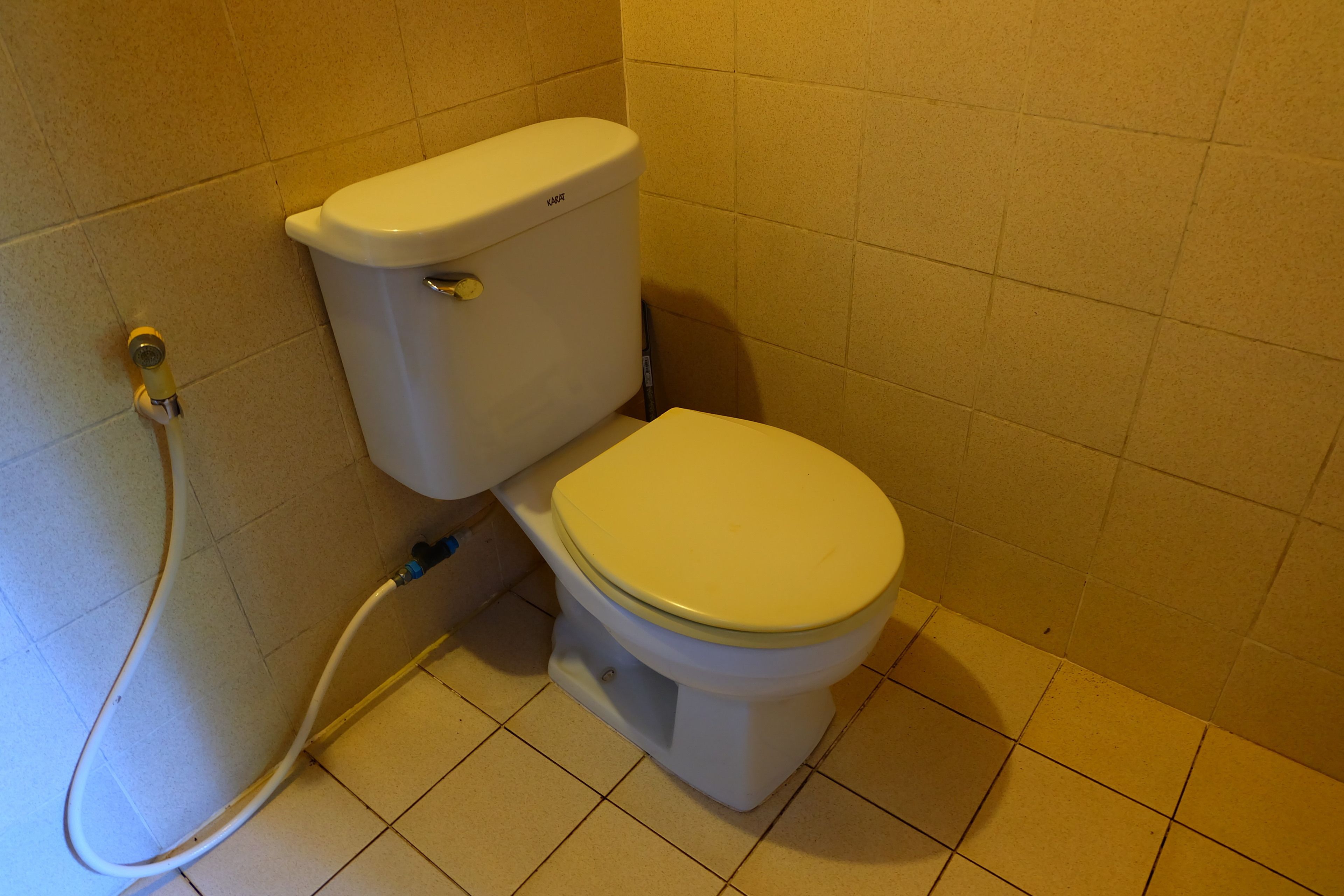 A toilet with a tank and seat, connected to a wall-mounted pipe.