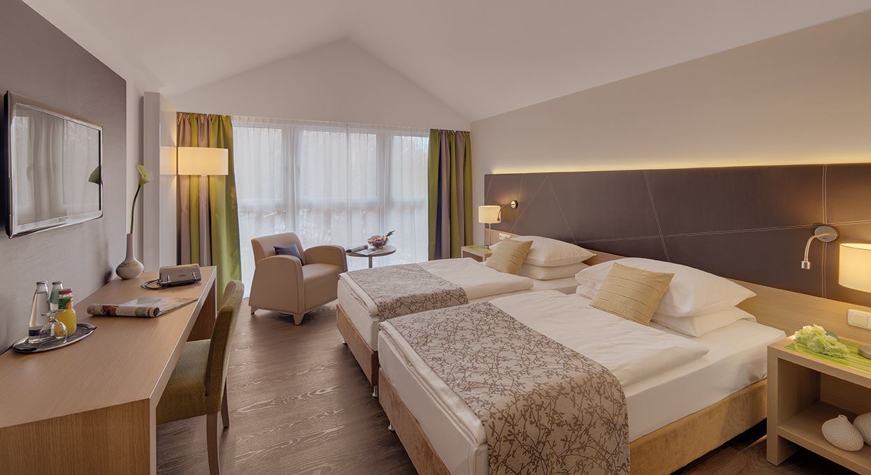 Deluxe Double or Twin Room