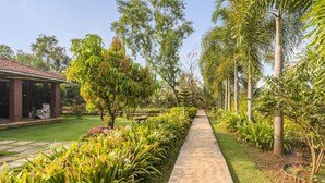 Un chemin de jardin bordé d’une structure en briques sur la gauche, entouré de différentes plantes et arbres.