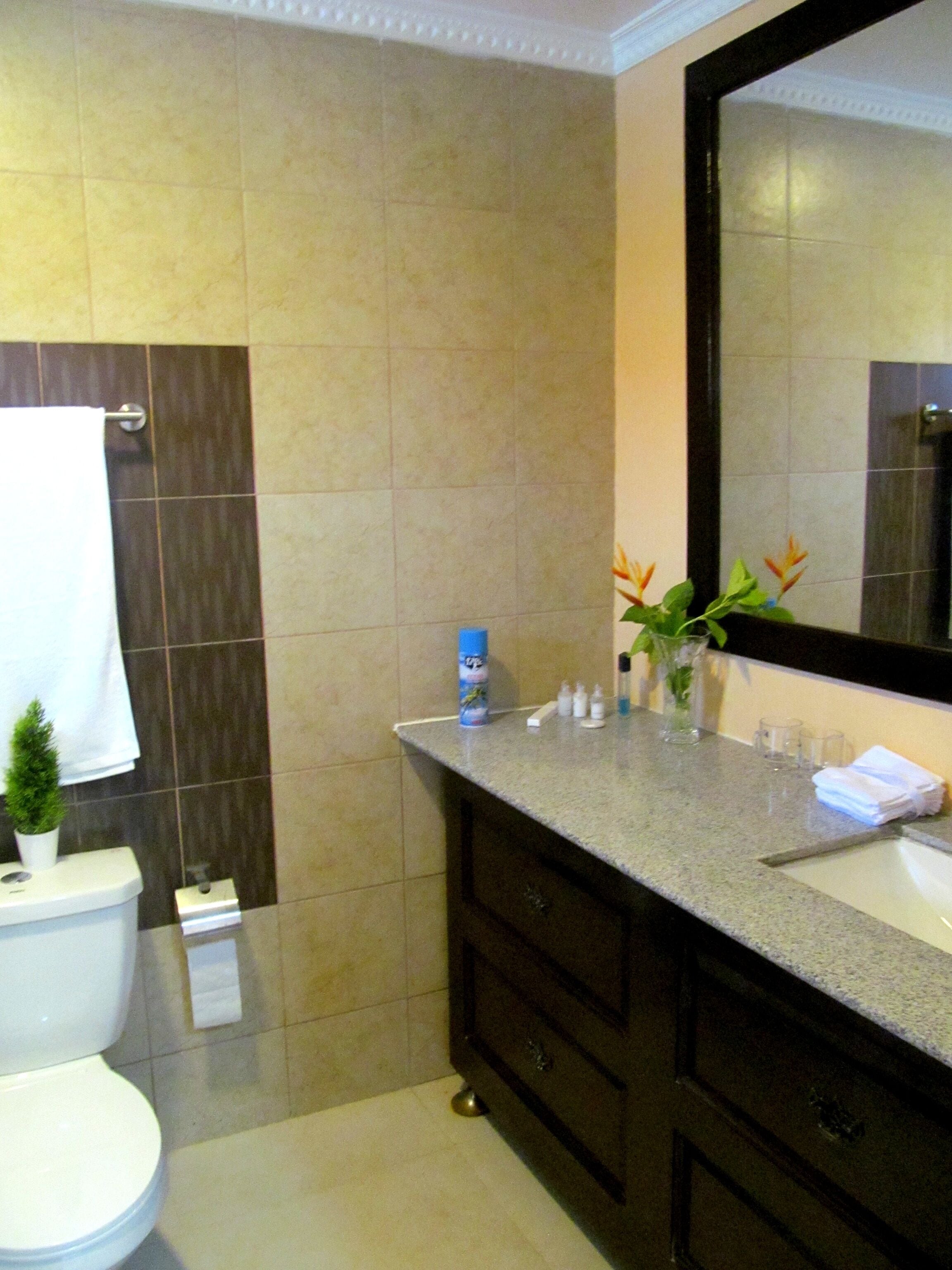 free toiletries, hair dryer, towels