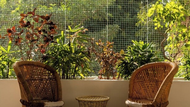 A sunlit outdoor seating area with wicker chairs and a small table, surrounded by lush greenery and a wire mesh barrier. - Girisadan - A City Centre Boutique Hotel (Jaipur)