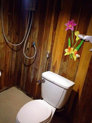 Douche, articles de toilette gratuits, serviettes fournies