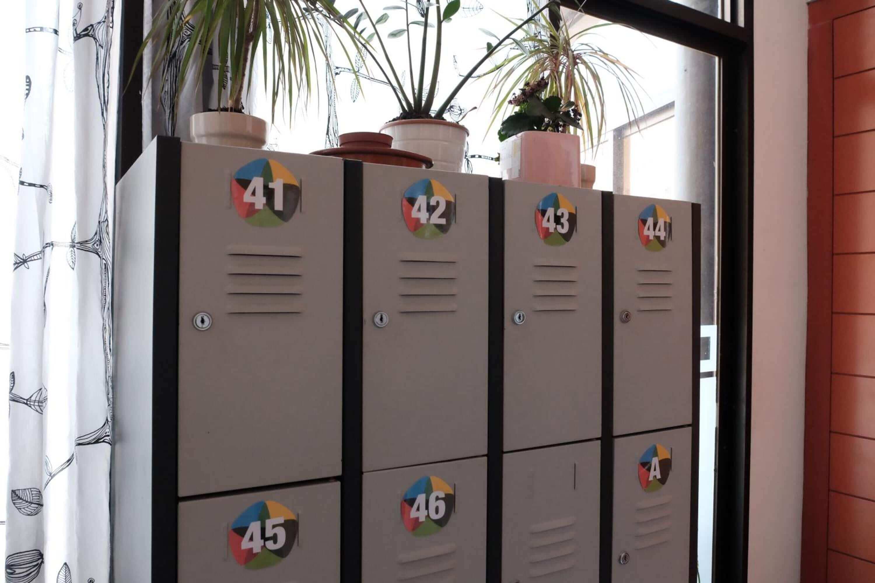 Foto - Alternative Creative Youth Hostel Barcelona