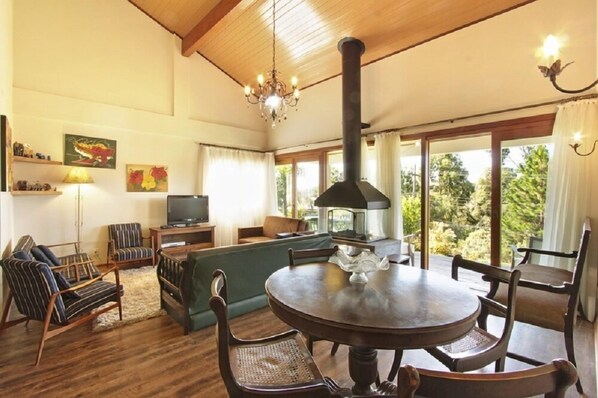 Casa | Área de sala de estar | Televisión y chimenea 