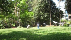 Un espacio al aire libre con césped, árboles y una hamaca.