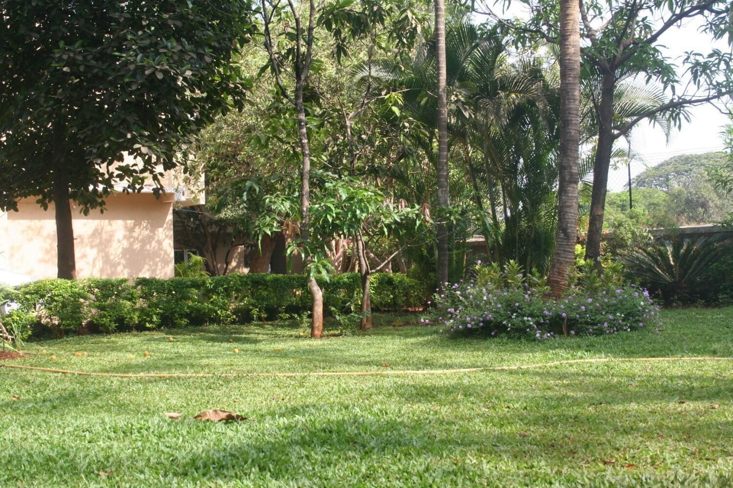 Un jardín bien cuidado con diversos árboles y arbustos, un césped y un edificio al fondo.