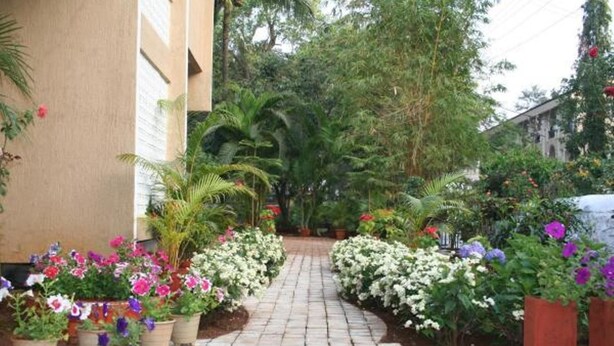Un sendero pavimentado que atraviesa un jardín con diversas macetas y flores.