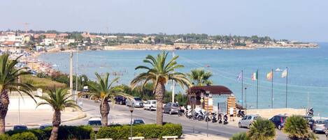 A coastal road with palm trees, parked cars, and a beach in the background.