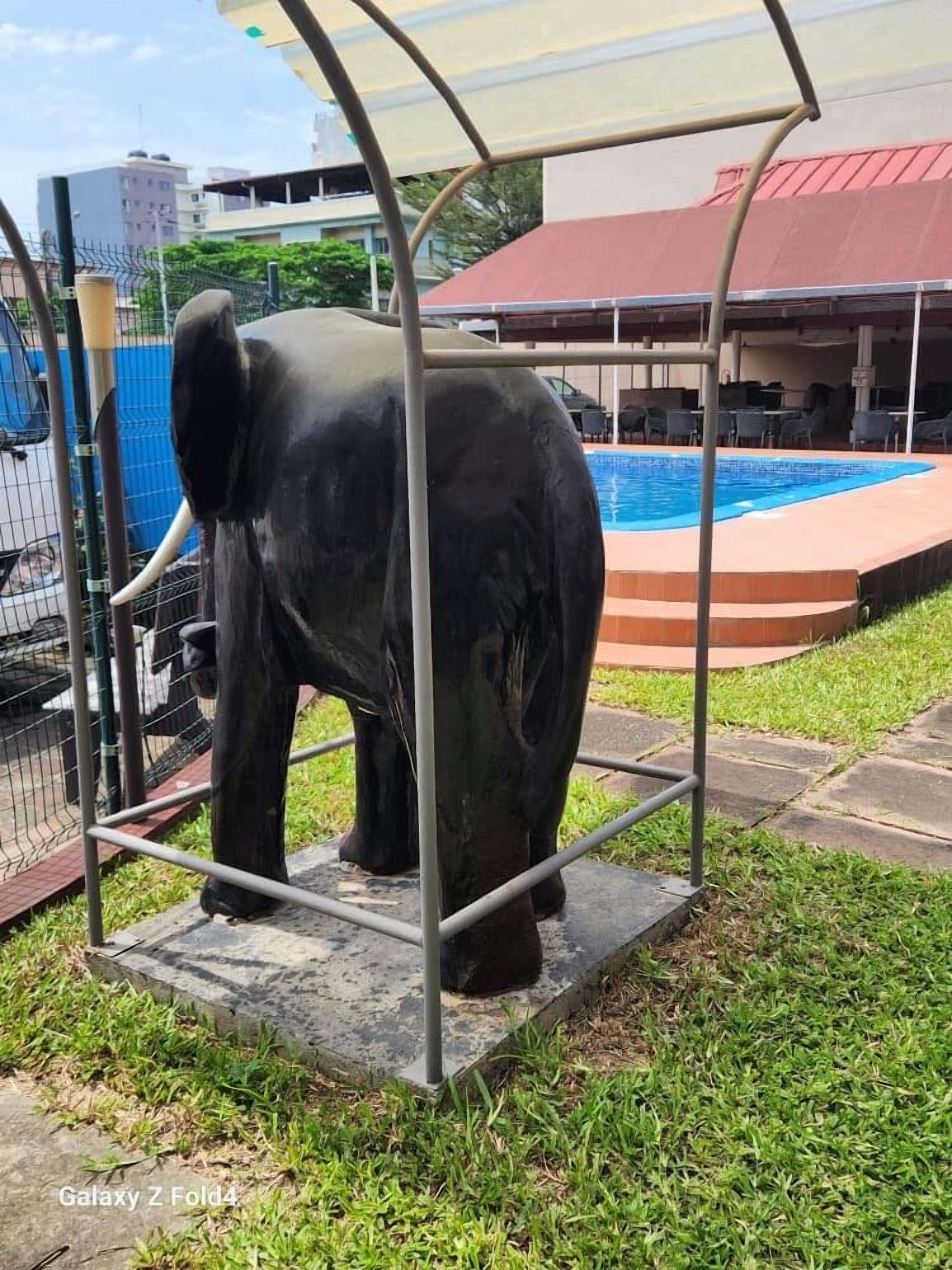 Photo - Golden Hôtel