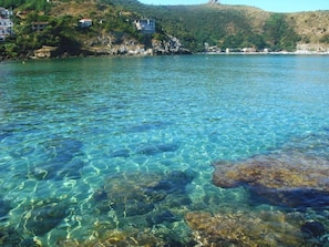 해변