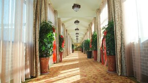 A corridor with potted plants, patterned curtains, and a carpeted floor. - GreenTree Inn Suqian Sihong Passenger Station Zhongyuan Logistics District Hotel (Suqian)