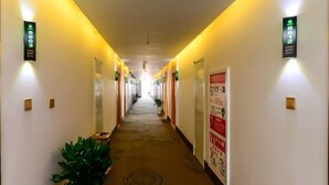 A hotel hallway with doors numbered 8803 and 8812, a carpeted floor, and a potted plant on the left. - GreenTree Inn Wuhu Fangte Four Phase Wanchun Fortune Plaza Hotel (Wuhu)