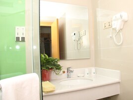 A bathroom with a white sink, a mirror, a hairdryer, and a potted plant.