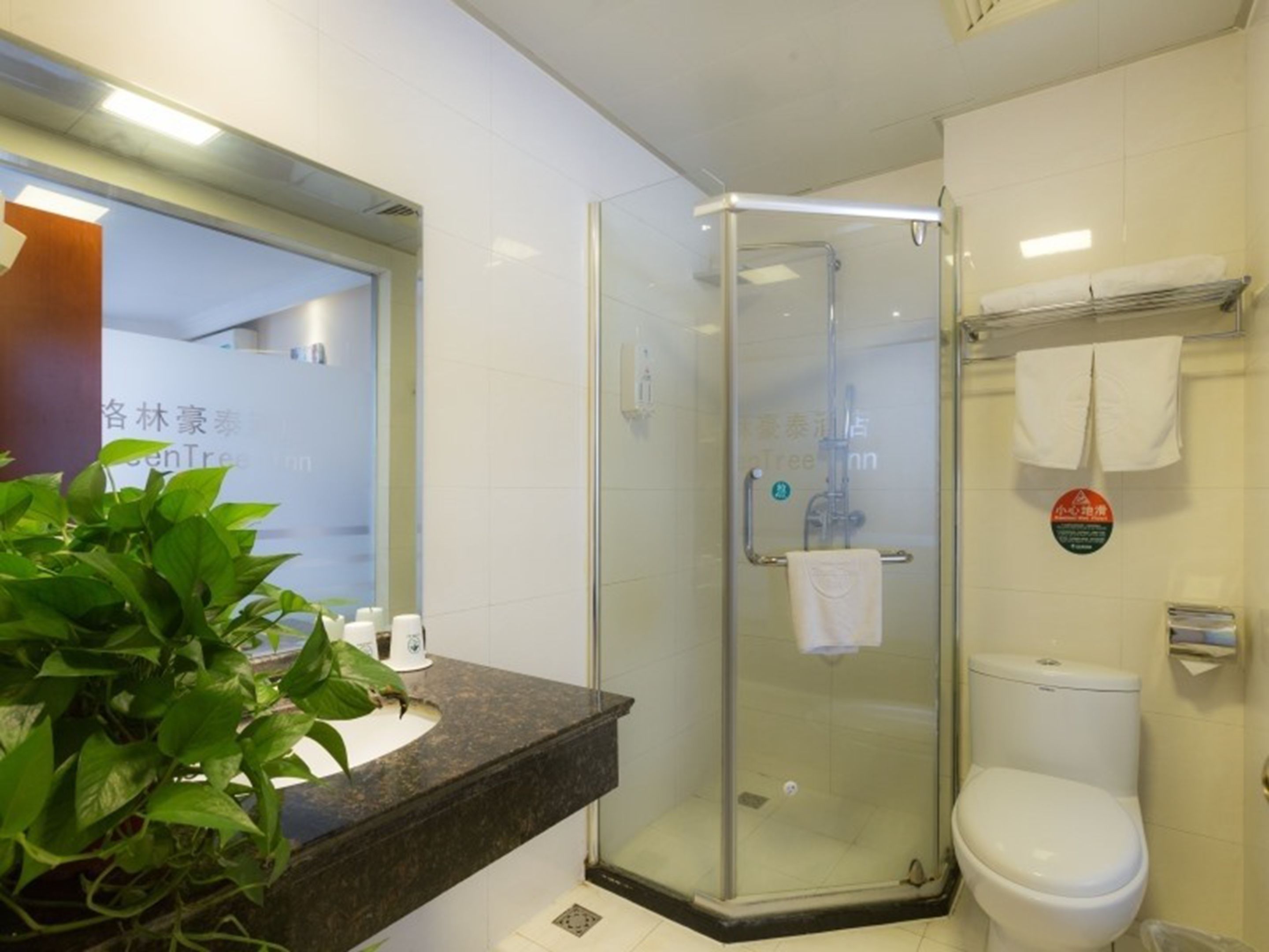 A modern bathroom with a glass-enclosed shower, a white toilet, and a sink with a plant.
