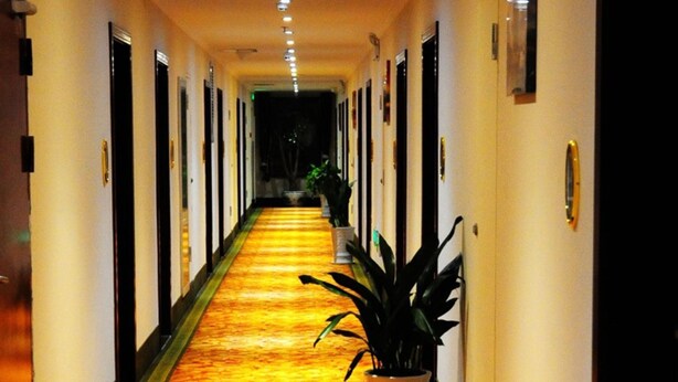 A hotel corridor with a carpeted floor, doors on both sides, and potted plants along the walkway.