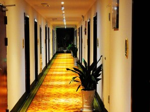 Un couloir d’hôtel avec un sol recouvert de moquette, des portes de chaque côté et des plantes en pot le long du passage.