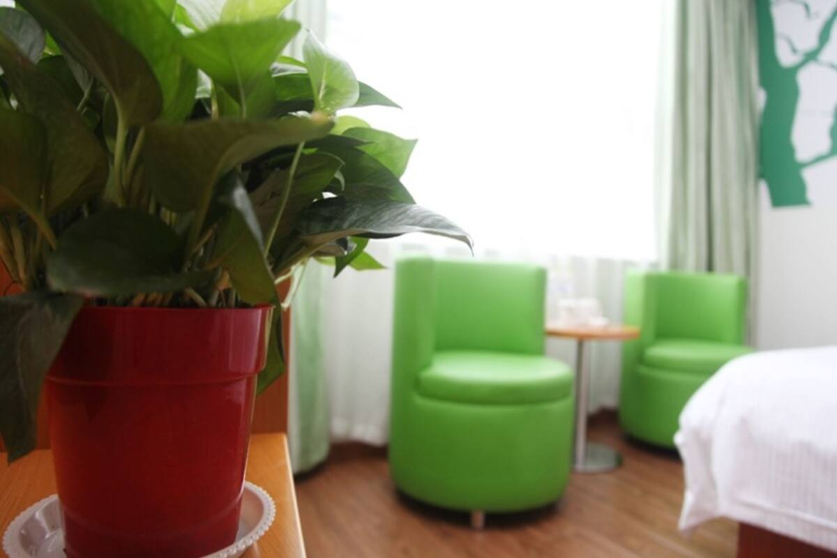Une chambre d’hôtel avec une plante en pot sur une table, des chaises vertes et un lit.
