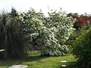Eksteriør