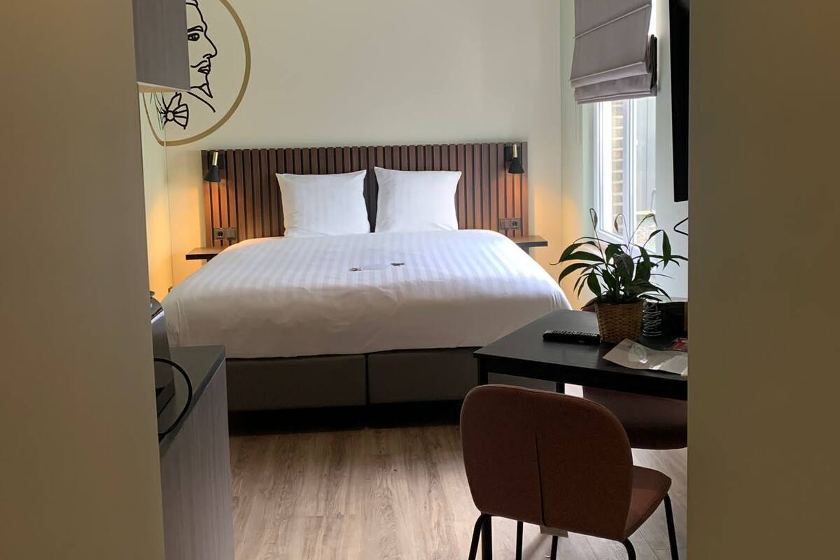 A hotel room with a bed, a desk, a chair, a potted plant, and a wall-mounted TV.