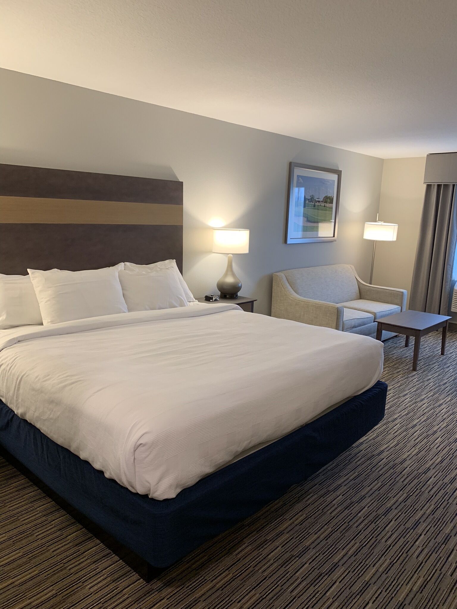 suite, 1 king bed with sofa bed (king executive) | desk, laptop workspace, blackout curtains, iron/ironing board