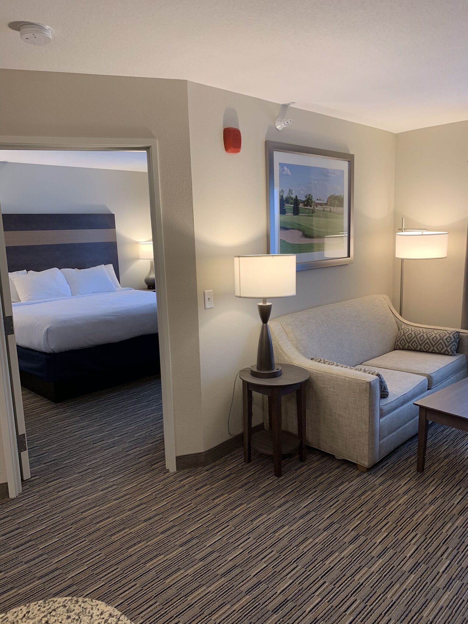 Habitació d'hotel amb un llit, un sofà, una làmpada i un quadre a la paret.