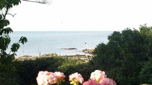 A coastal view with a garden in the foreground featuring pink flowers, a rocky shoreline, and a clear sky. - Danchelshus (Allinge)