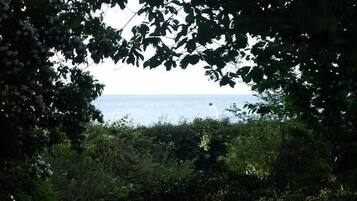 A view through dense foliage to a body of water with a distant white structure.