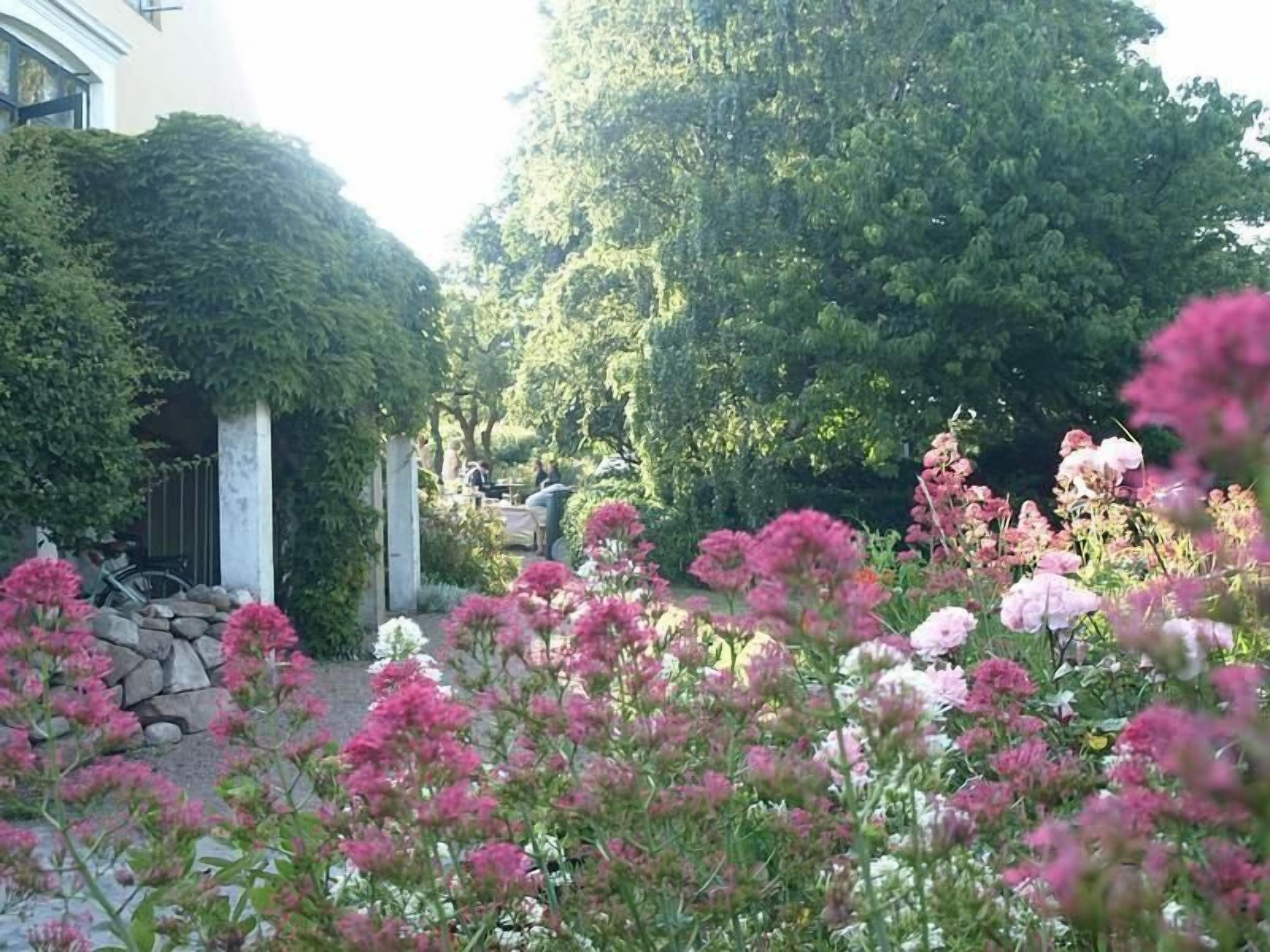 A garden with pink flowers and a building in the background.