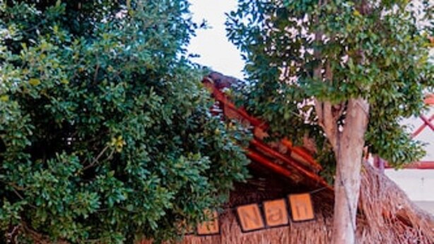 A tropical resort entrance with a thatched roof, surrounded by lush greenery and vibrant plants. - Tulum Nah (Tulum)
