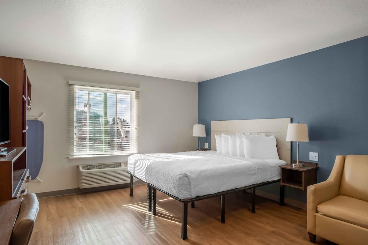 Deluxe Studio, 1 King Bed with Sofa bed, Non Smoking, Refrigerator & Microwave
