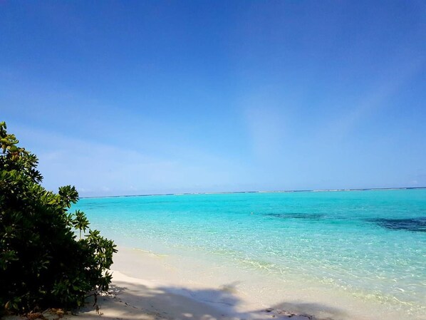 View from property - Thoddoo Beach Holiday Inn (Thoddoo)