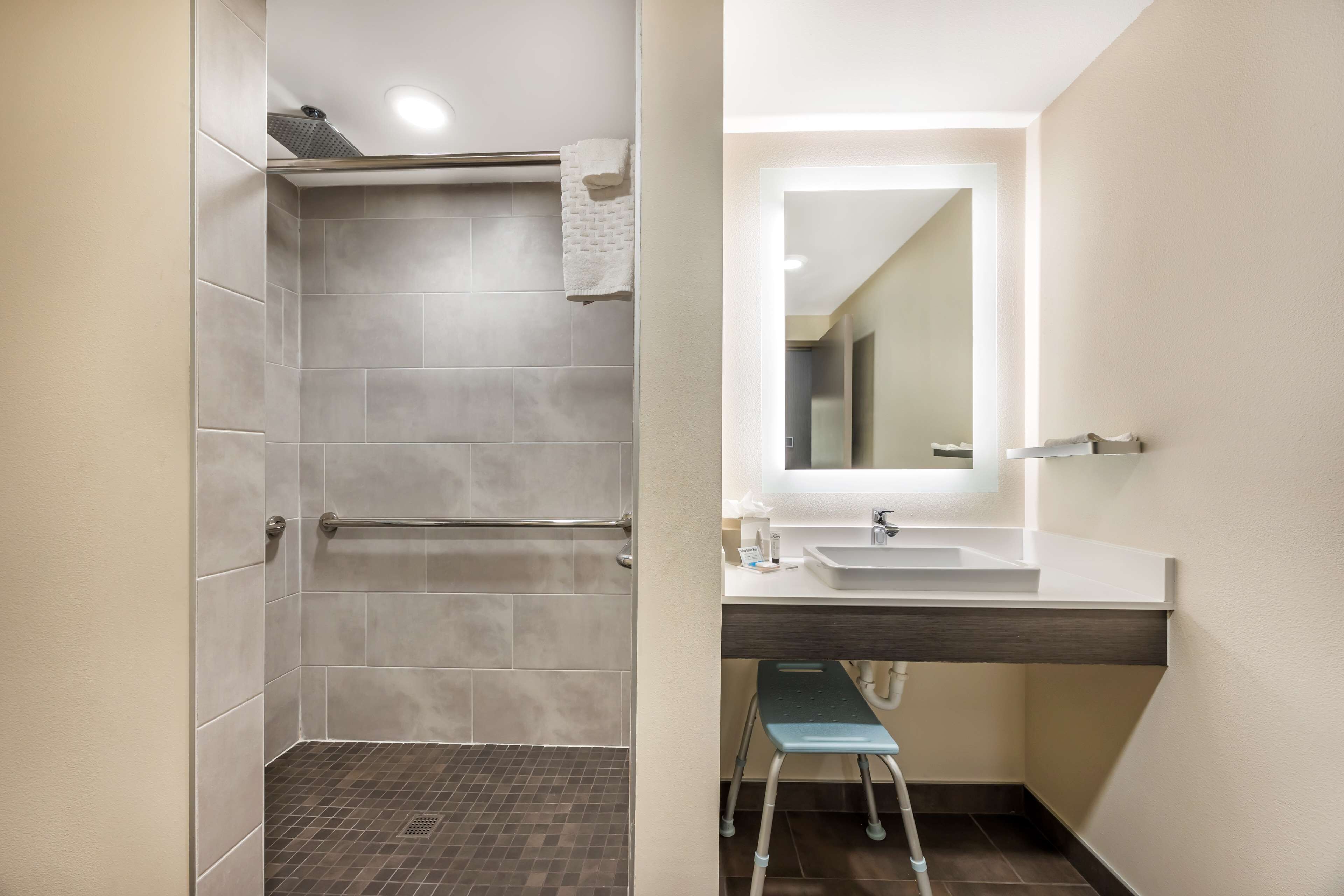 standard room, 1 king bed, accessible, non smoking (with sofabed) | bathroom | shower, rainfall showerhead, designer toiletries, hair dryer