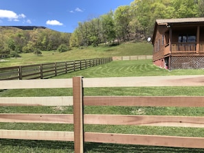 Property grounds - Solitude on 172 private acres in Highland County. (Doe Hill)