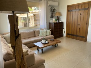 Smart TV, fireplace, DVD player, books