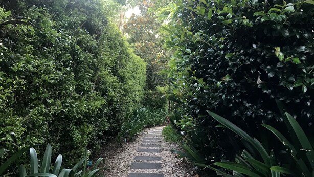 Un sendero de jardín con piedras para pisar y abundante follaje a ambos lados.