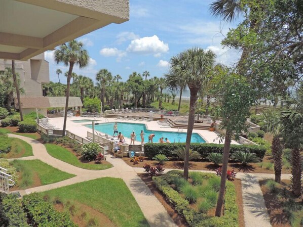 A pool area with a clear view of the pool, surrounding palm trees, and a pathway leading to the pool. - Oceanfront condo, Two Bedroom, Second Floor (Hilton Head)