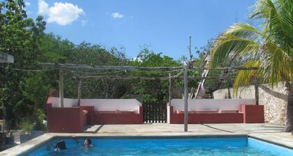 Talo uima-altaalla, rentoutumisalue, perheille, homoystävällinen ja lemmikkiystävällinen